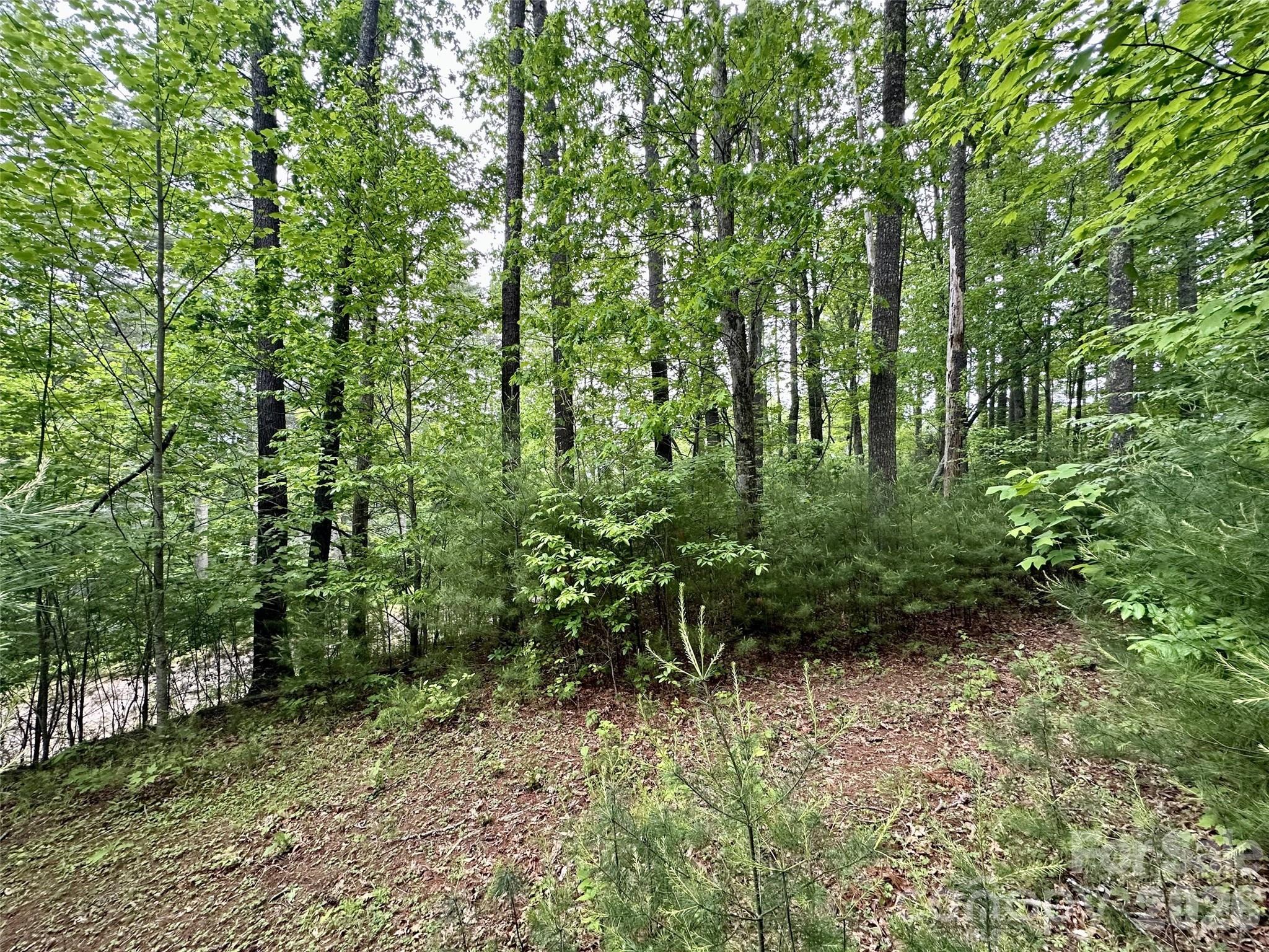 11 Wildlife Drive Clyde NC 28721