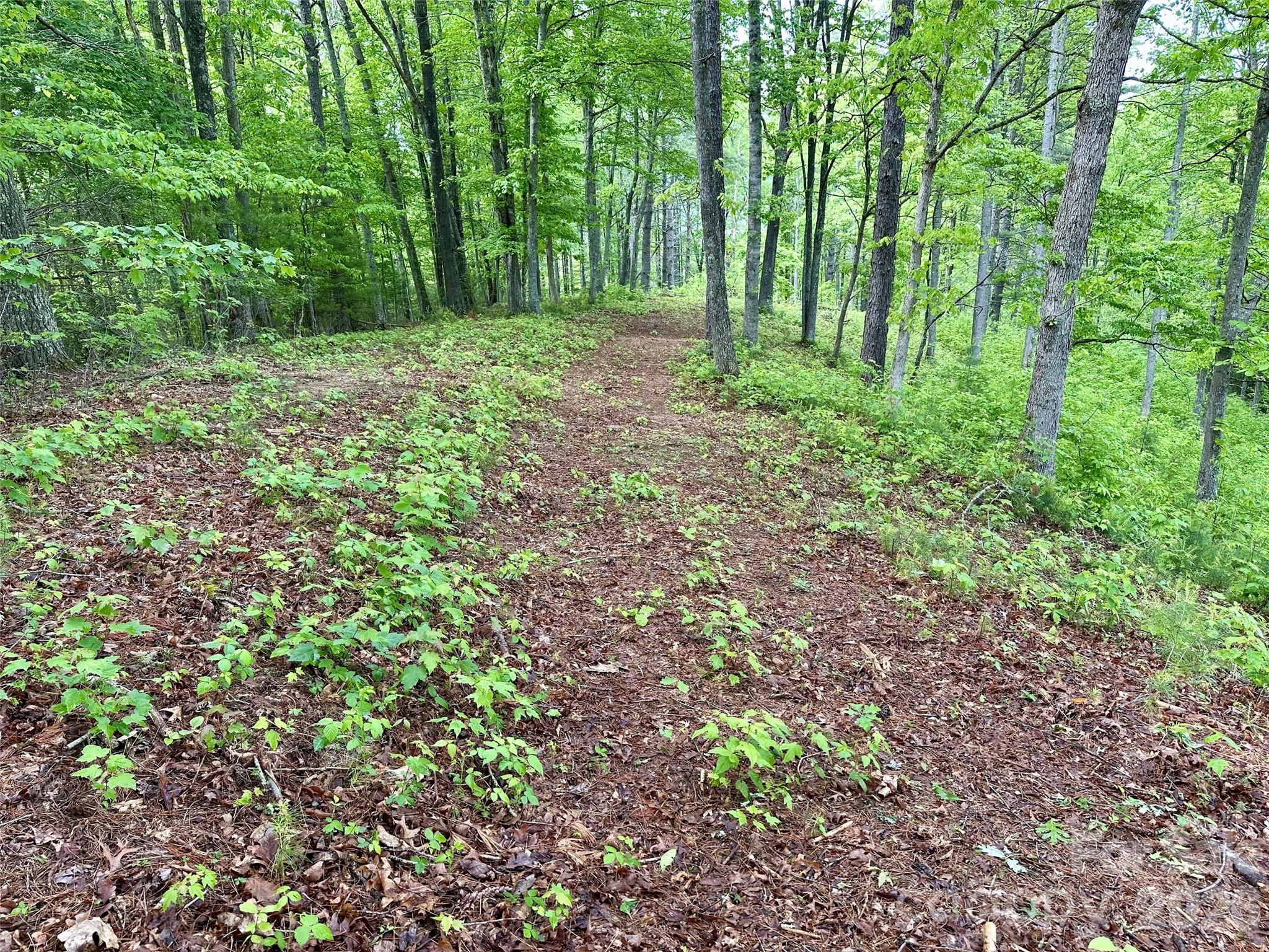 11 Wildlife Drive Clyde NC 28721