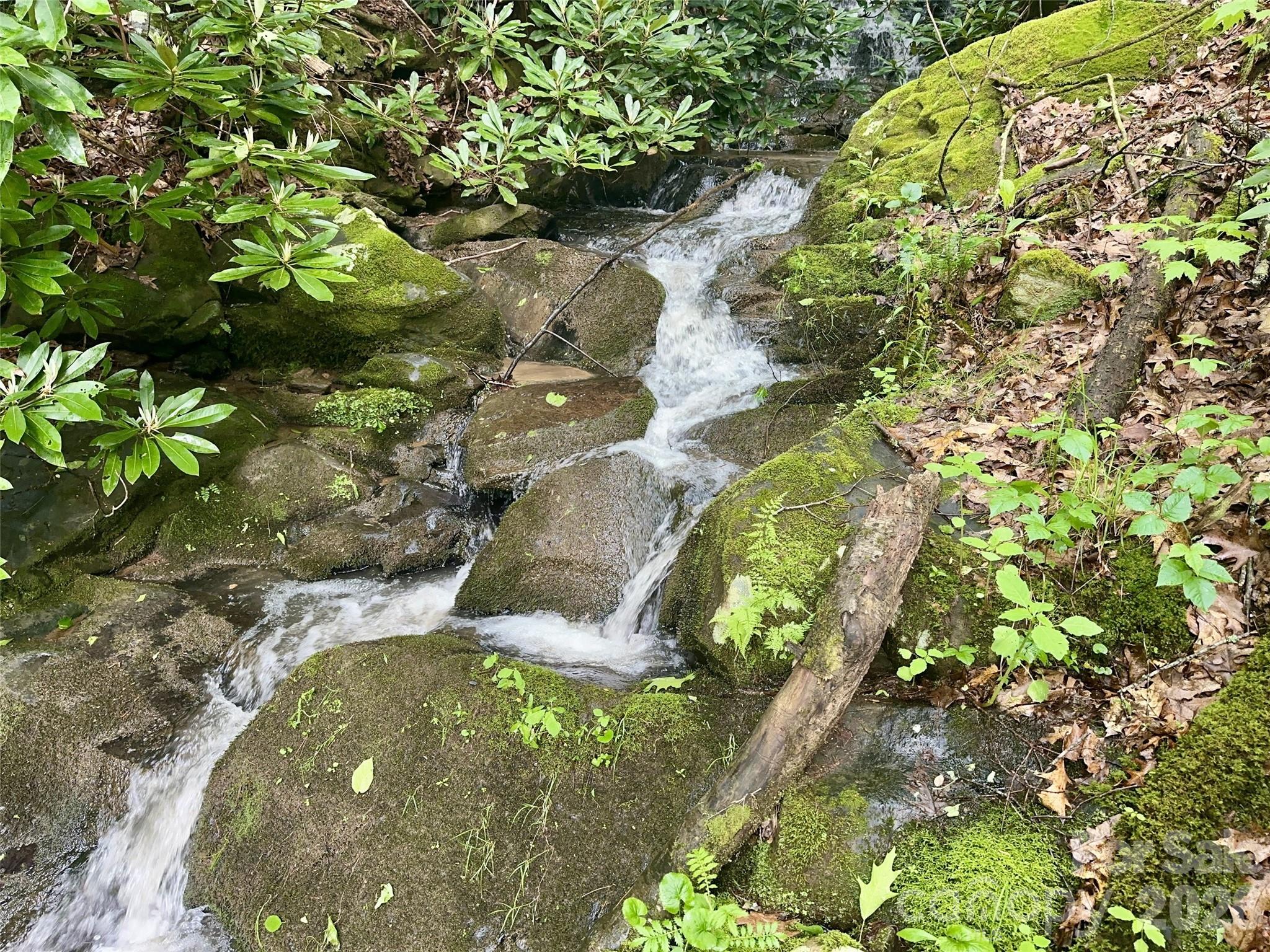 11 Wildlife Drive Clyde NC 28721
