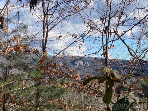 999 High Point Trail Brevard NC 28712