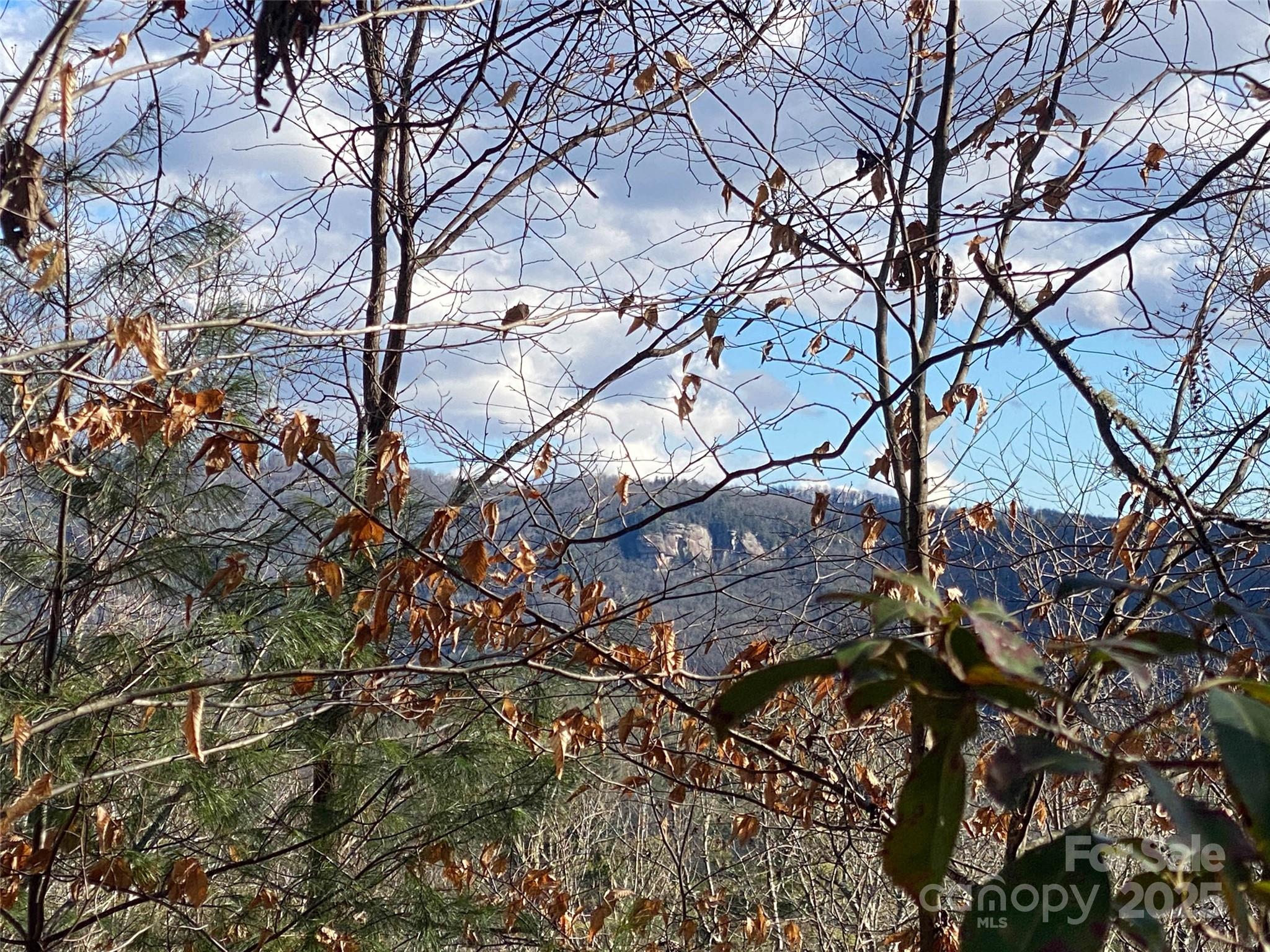 999 High Point Trail Brevard NC 28712