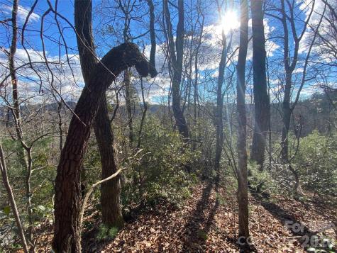 999 High Point Trail Brevard NC 28712