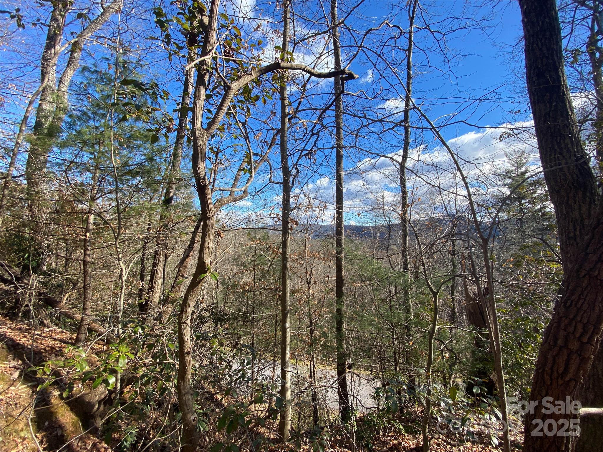 999 High Point Trail Brevard NC 28712