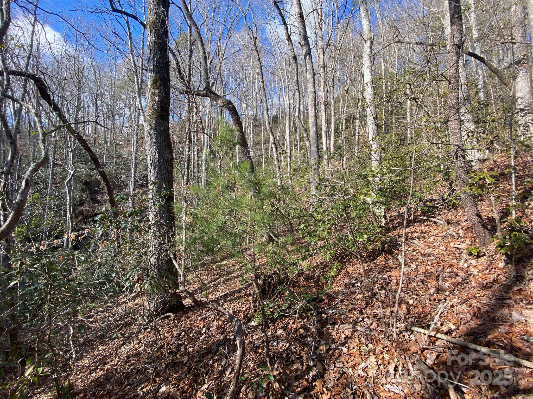 999 High Point Trail Brevard NC 28712