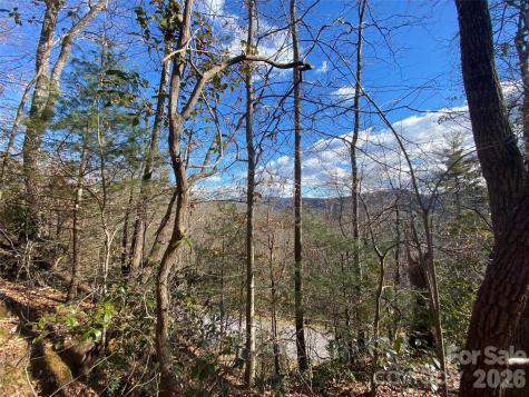 999 High Point Trail Brevard NC 28712