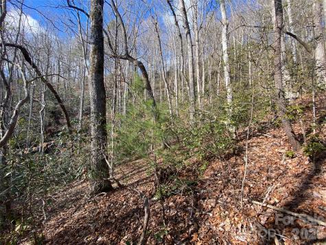 999 High Point Trail Brevard NC 28712