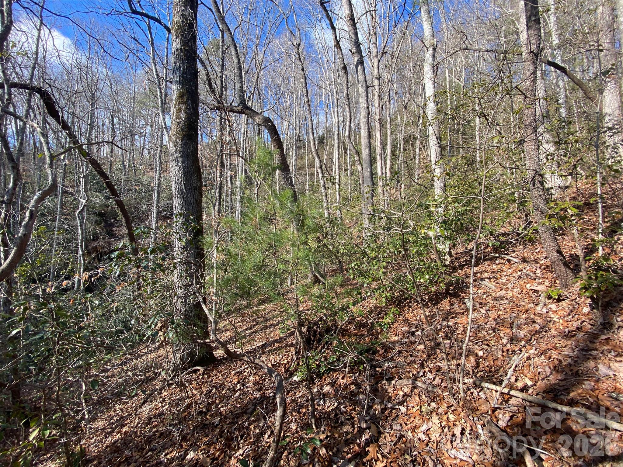 999 High Point Trail Brevard NC 28712