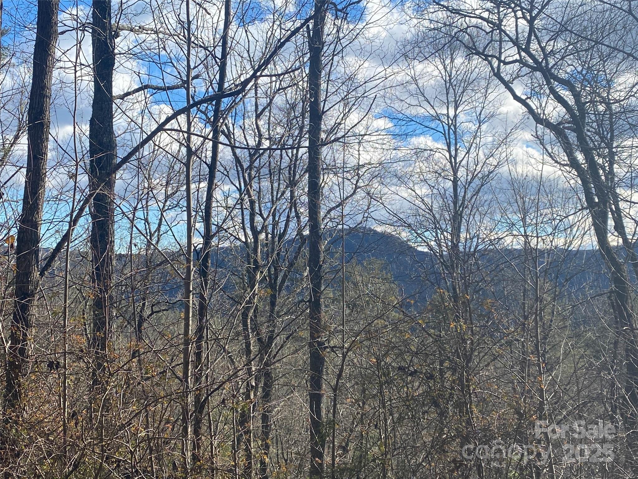 999 High Point Trail Brevard NC 28712