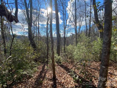999 High Point Trail Brevard NC 28712