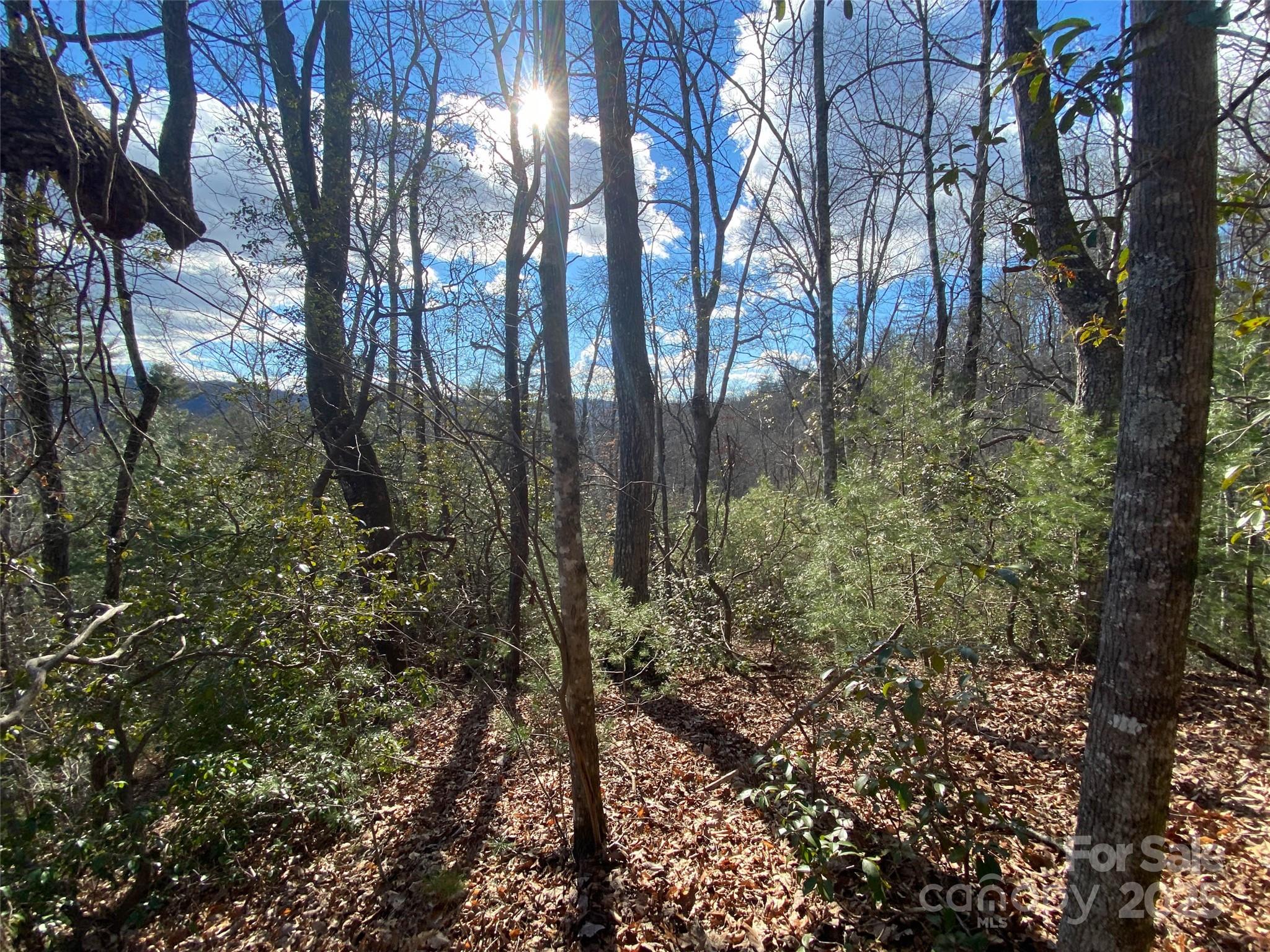 999 High Point Trail Brevard NC 28712