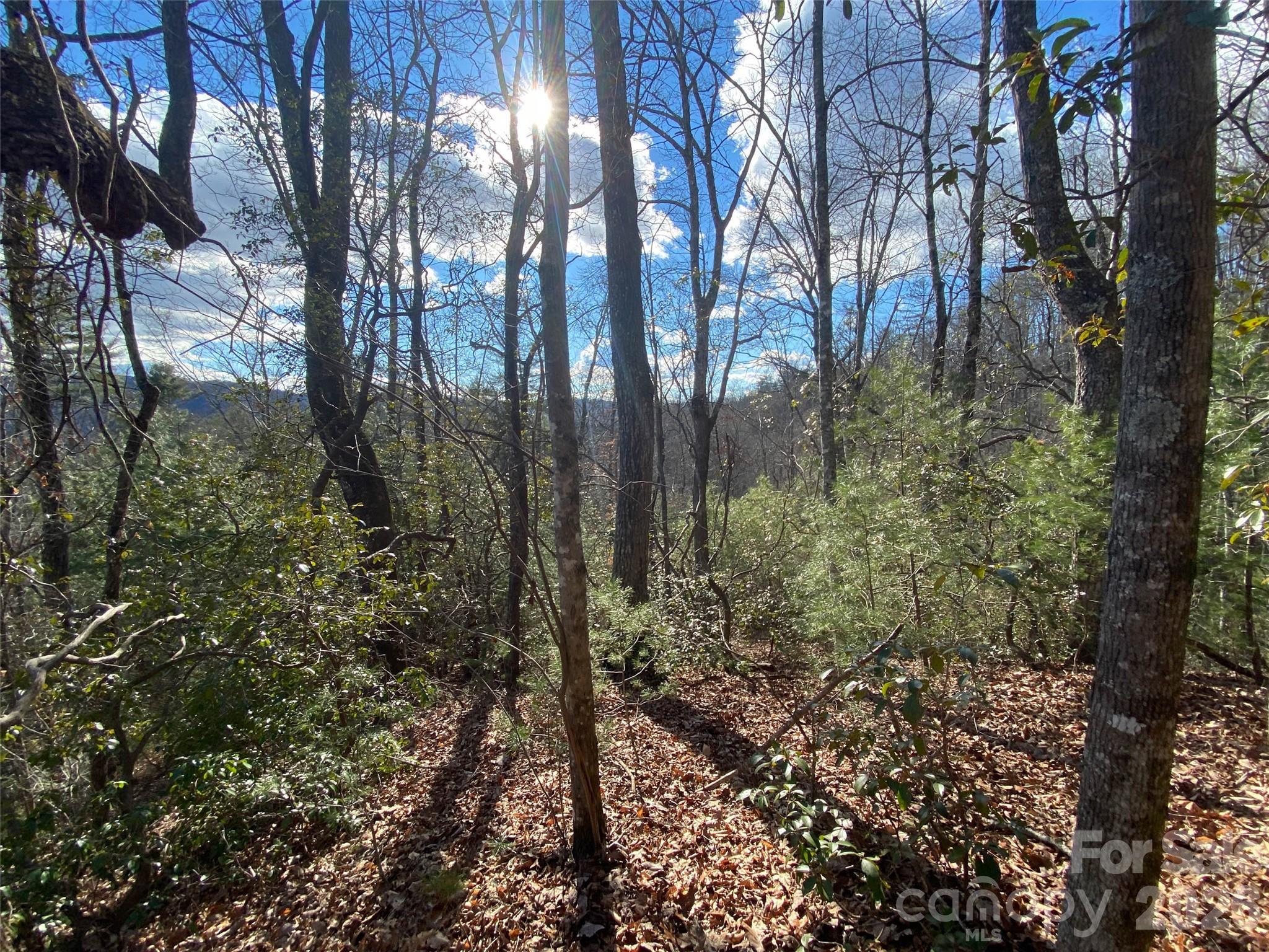 999 High Point Trail Brevard NC 28712
