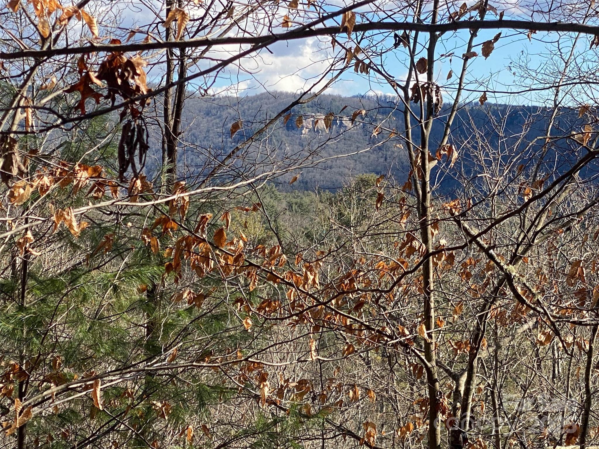 999 High Point Trail Brevard NC 28712