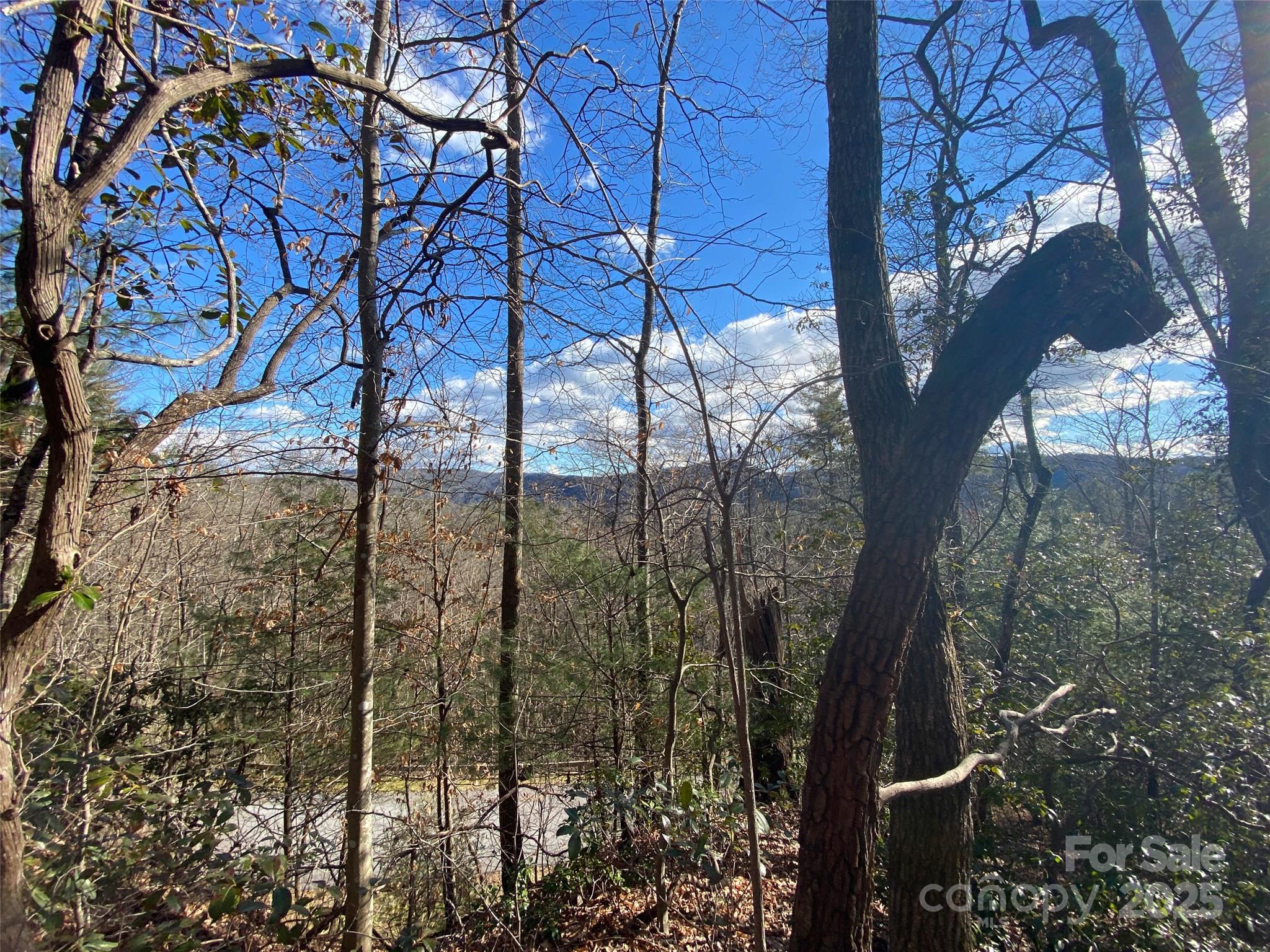 999 High Point Trail Brevard NC 28712