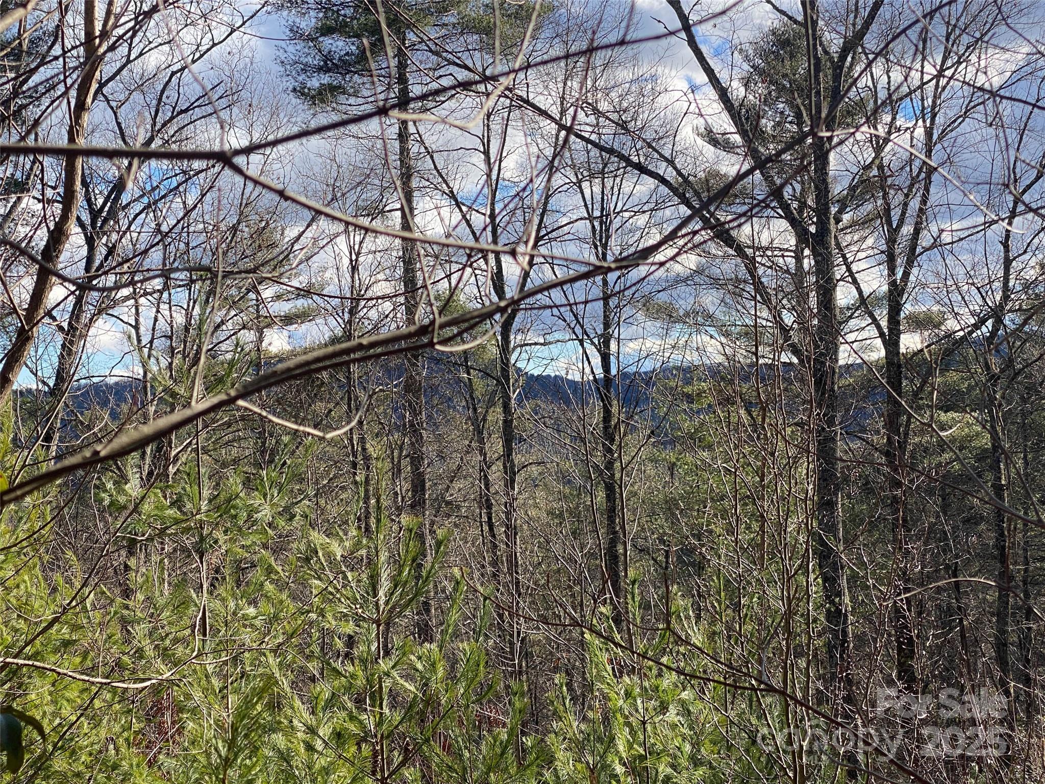 999 High Point Trail Brevard NC 28712