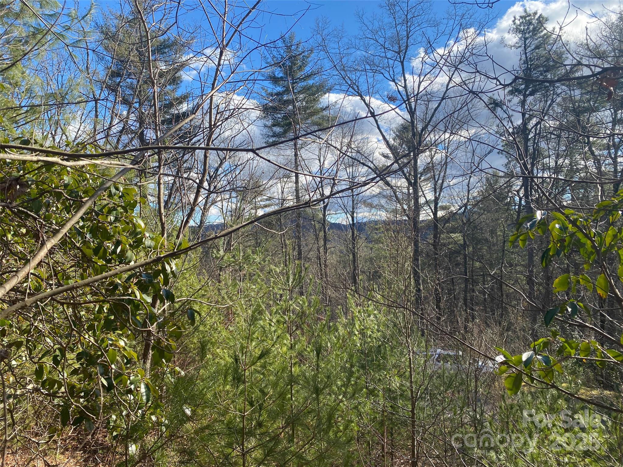 999 High Point Trail Brevard NC 28712