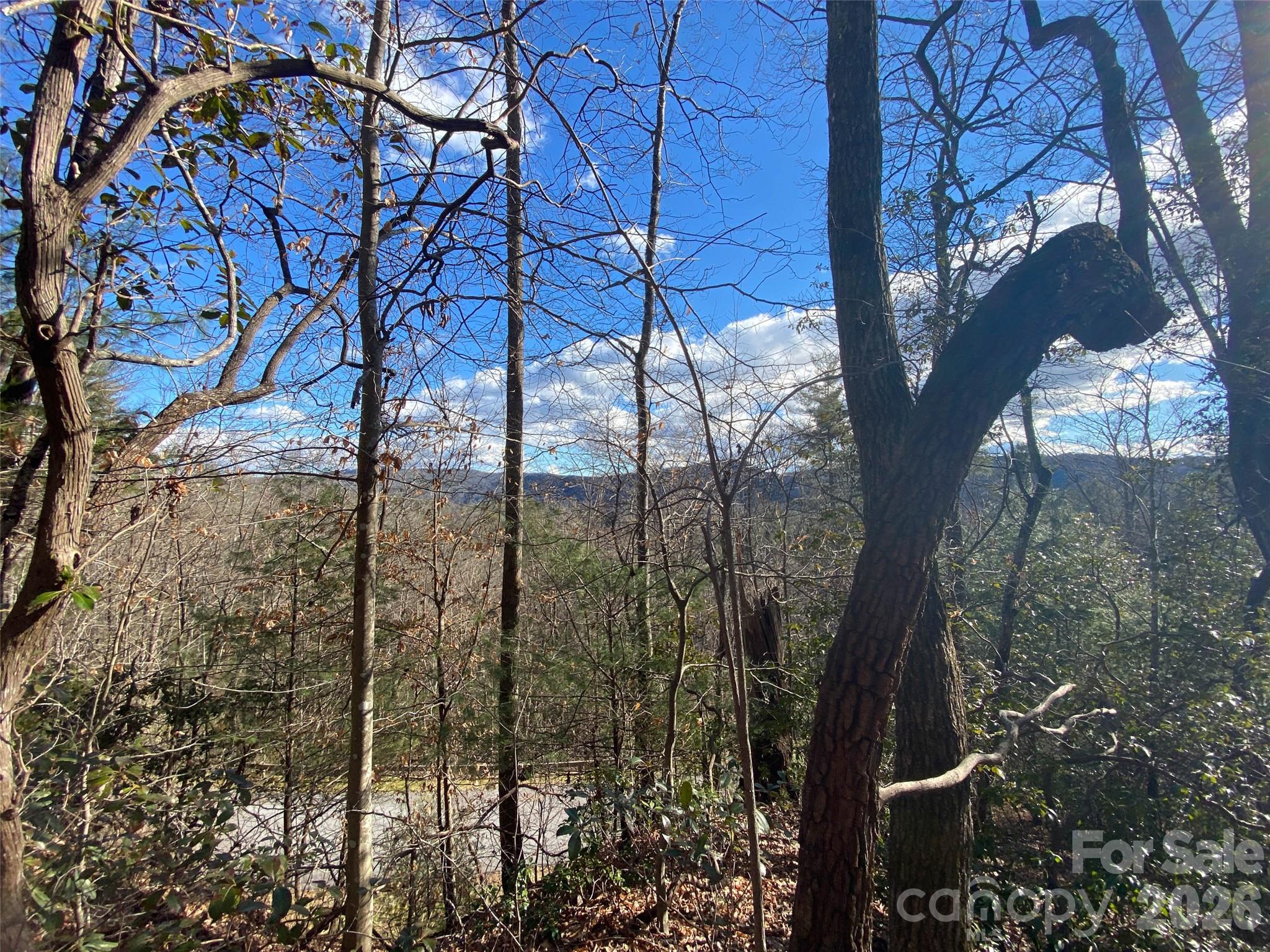 999 High Point Trail Brevard NC 28712