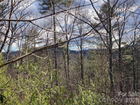 999 High Point Trail Brevard NC 28712