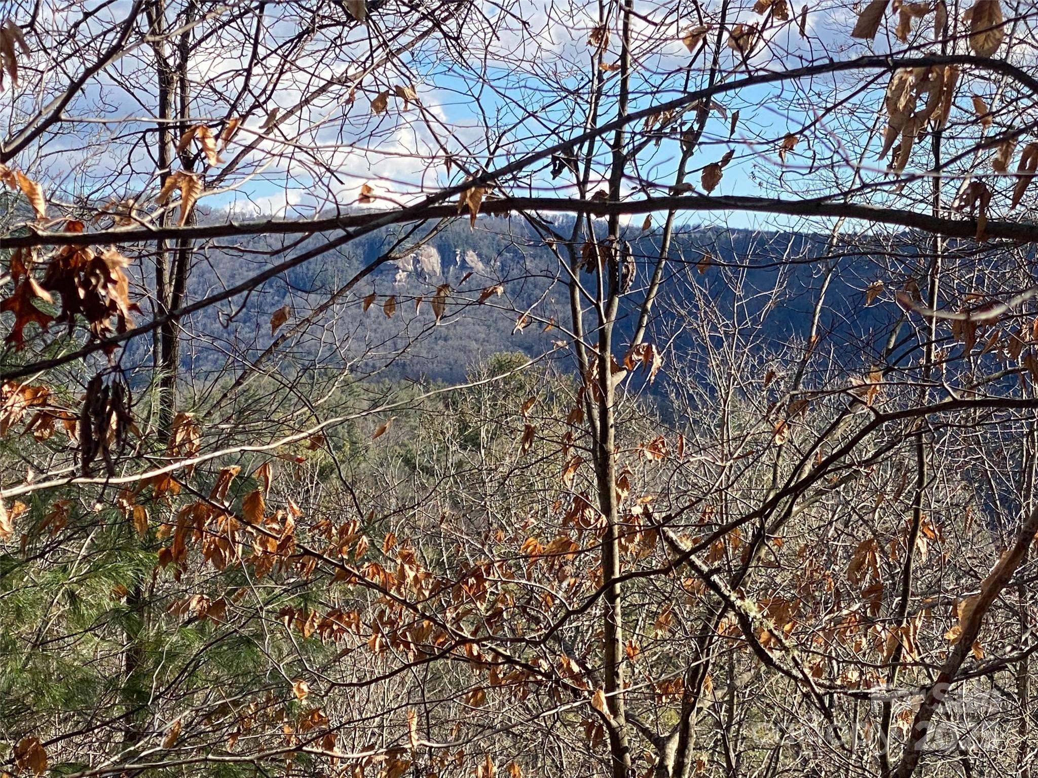 999 High Point Trail Brevard NC 28712