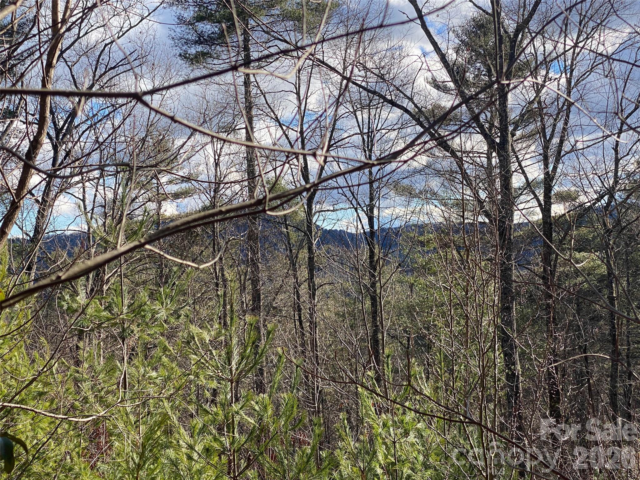 999 High Point Trail Brevard NC 28712