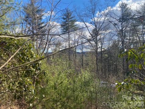 999 High Point Trail Brevard NC 28712