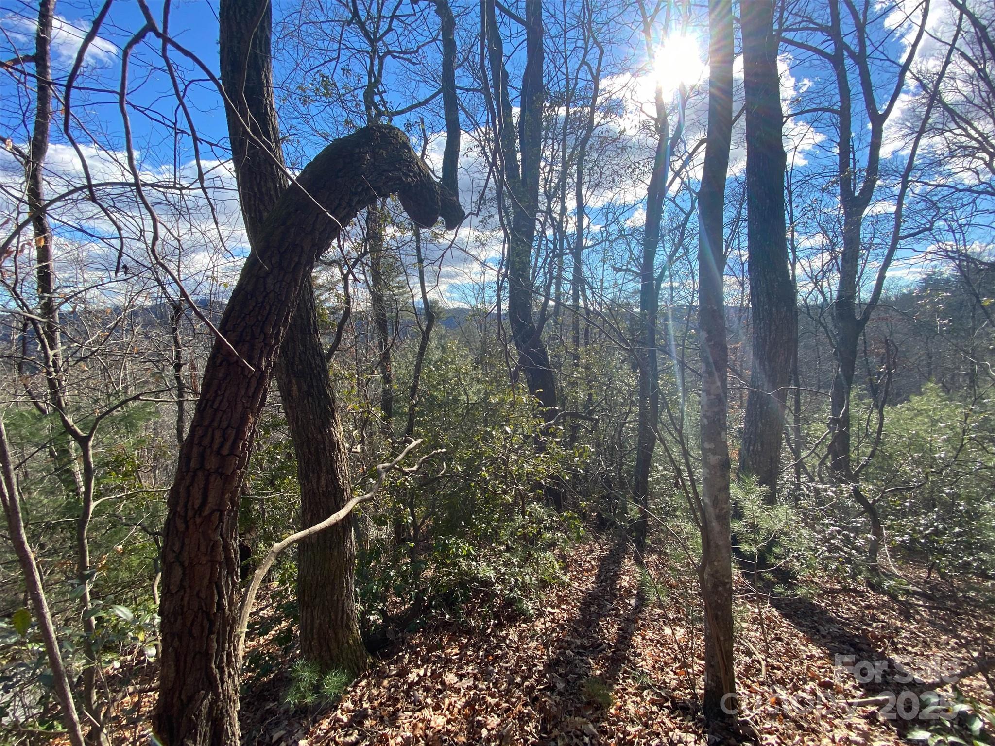 999 High Point Trail Brevard NC 28712