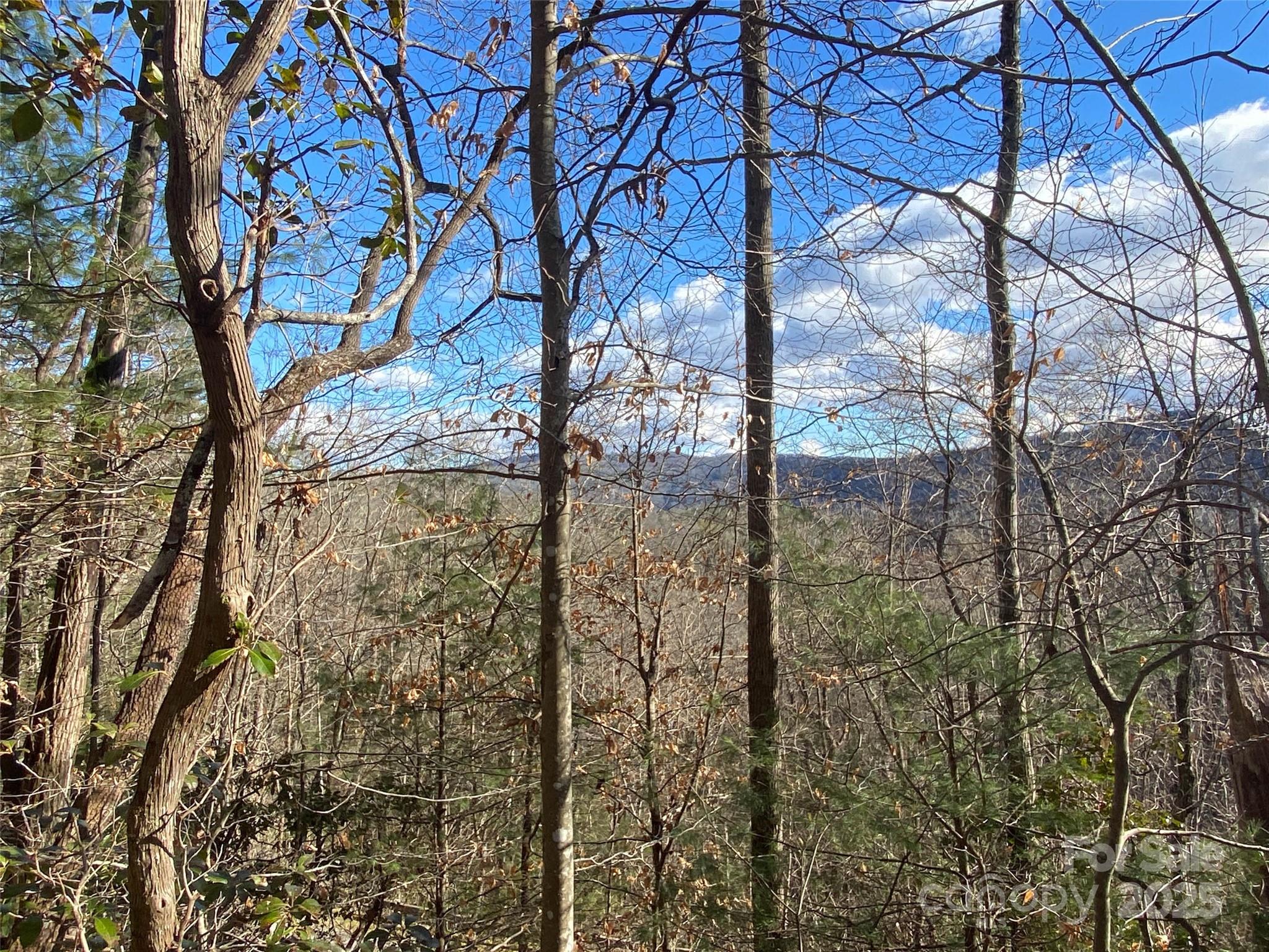 999 High Point Trail Brevard NC 28712