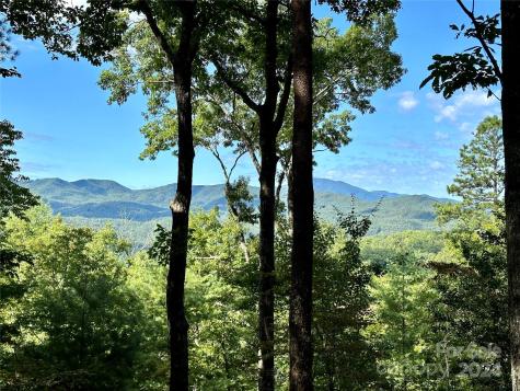 176 Winterberry Drive Marshall NC 28753