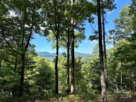 176 Winterberry Drive Marshall NC 28753