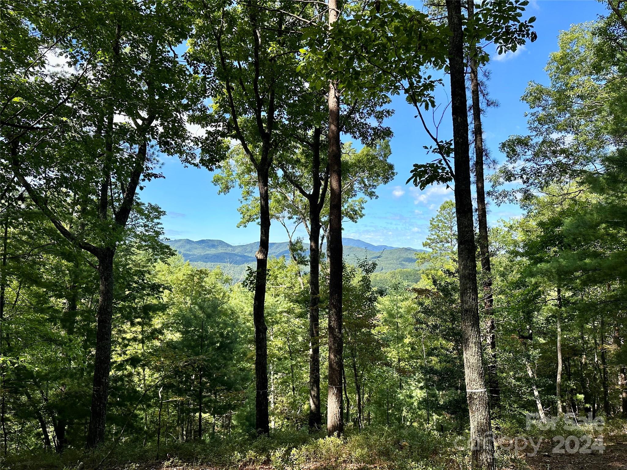 176 Winterberry Drive Marshall NC 28753