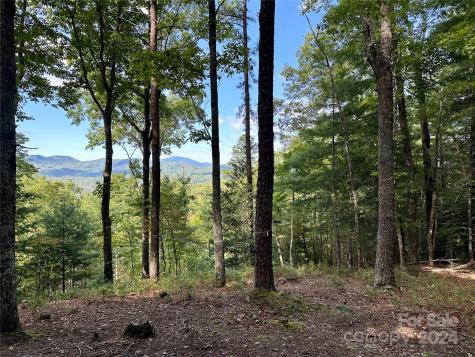 176 Winterberry Drive Marshall NC 28753