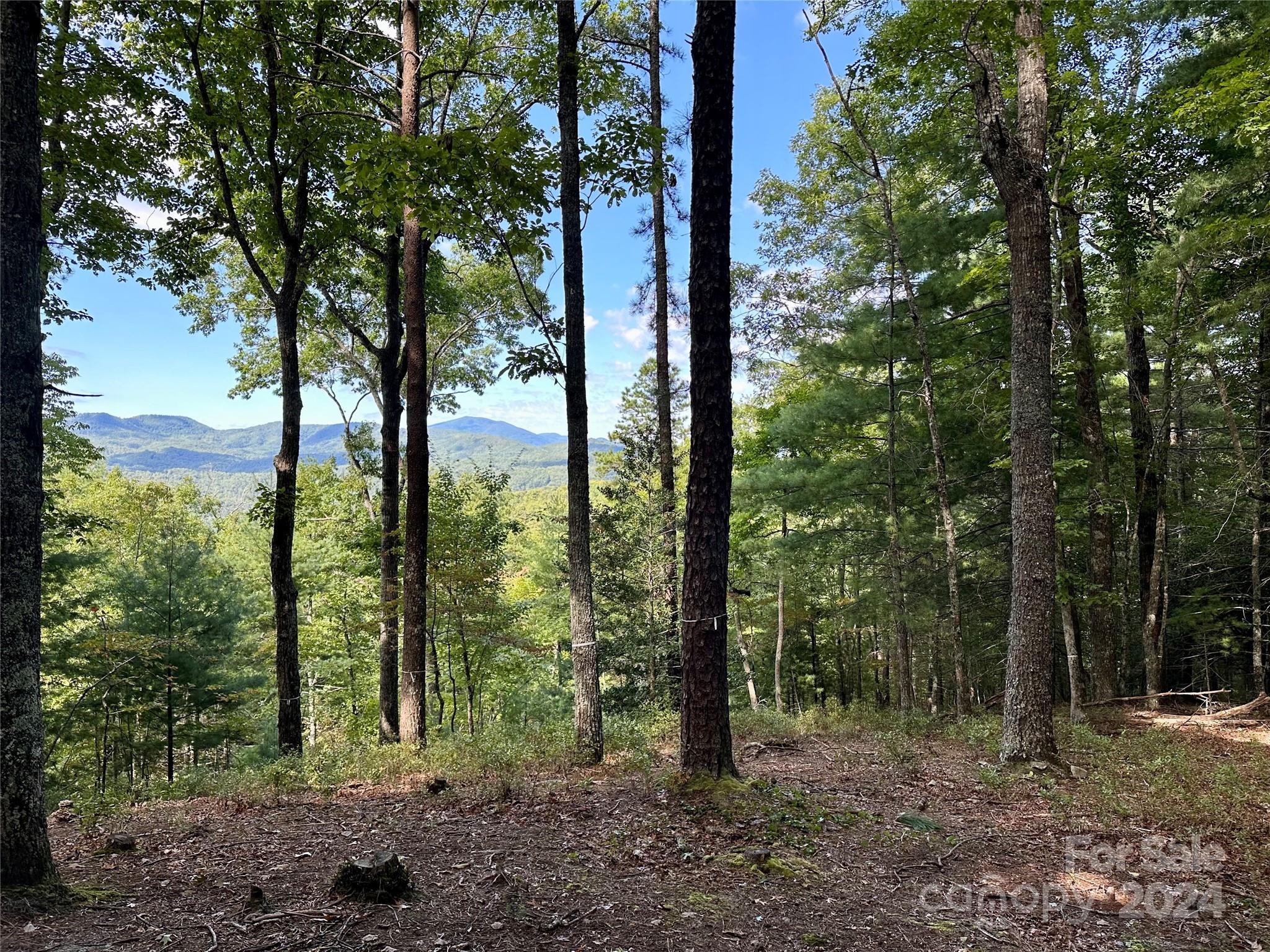 176 Winterberry Drive Marshall NC 28753