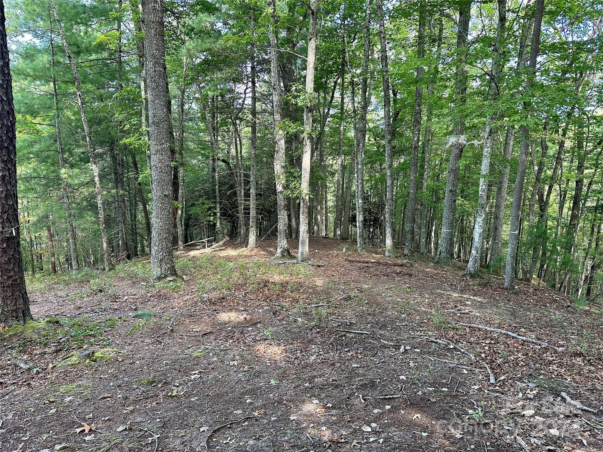 176 Winterberry Drive Marshall NC 28753