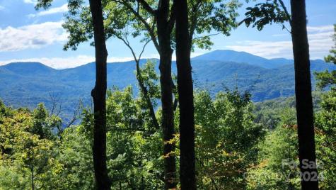 176 Winterberry Drive Marshall NC 28753