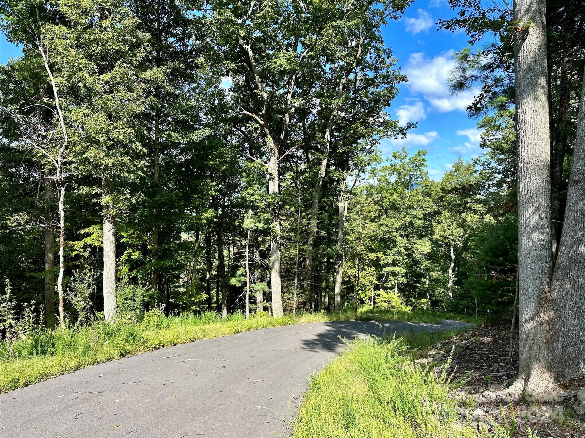 176 Winterberry Drive Marshall NC 28753