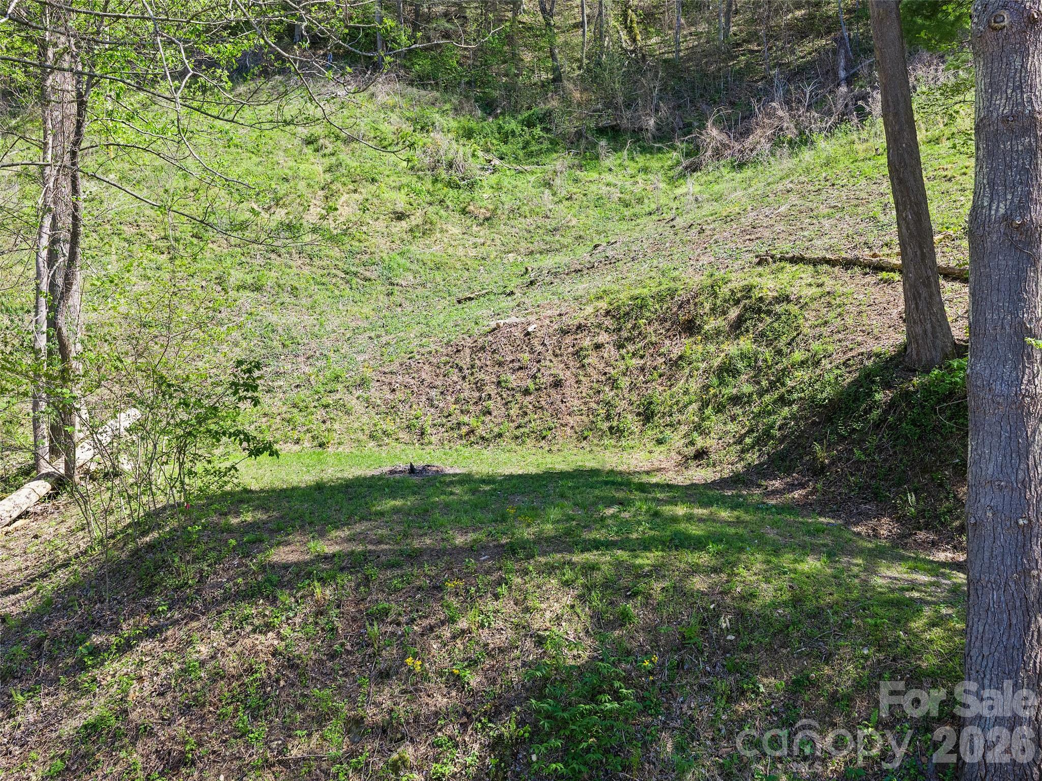 000 Little Pine Road Marshall NC 28753