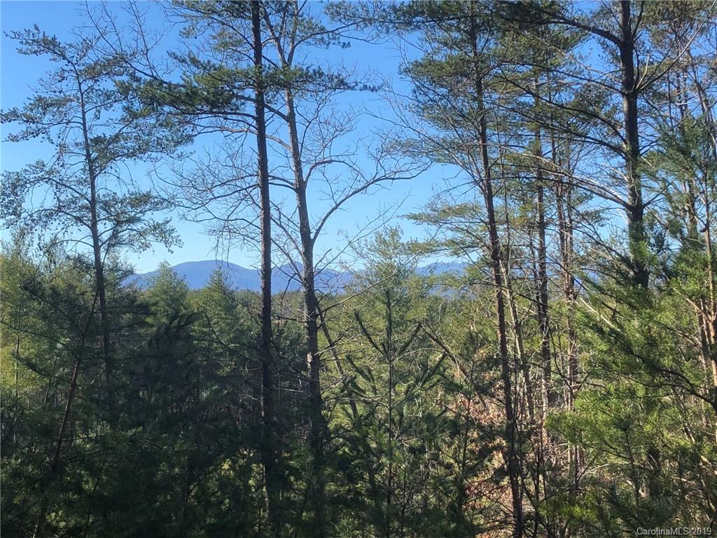 1375 Ten Whigs Ridge Nebo NC 28761