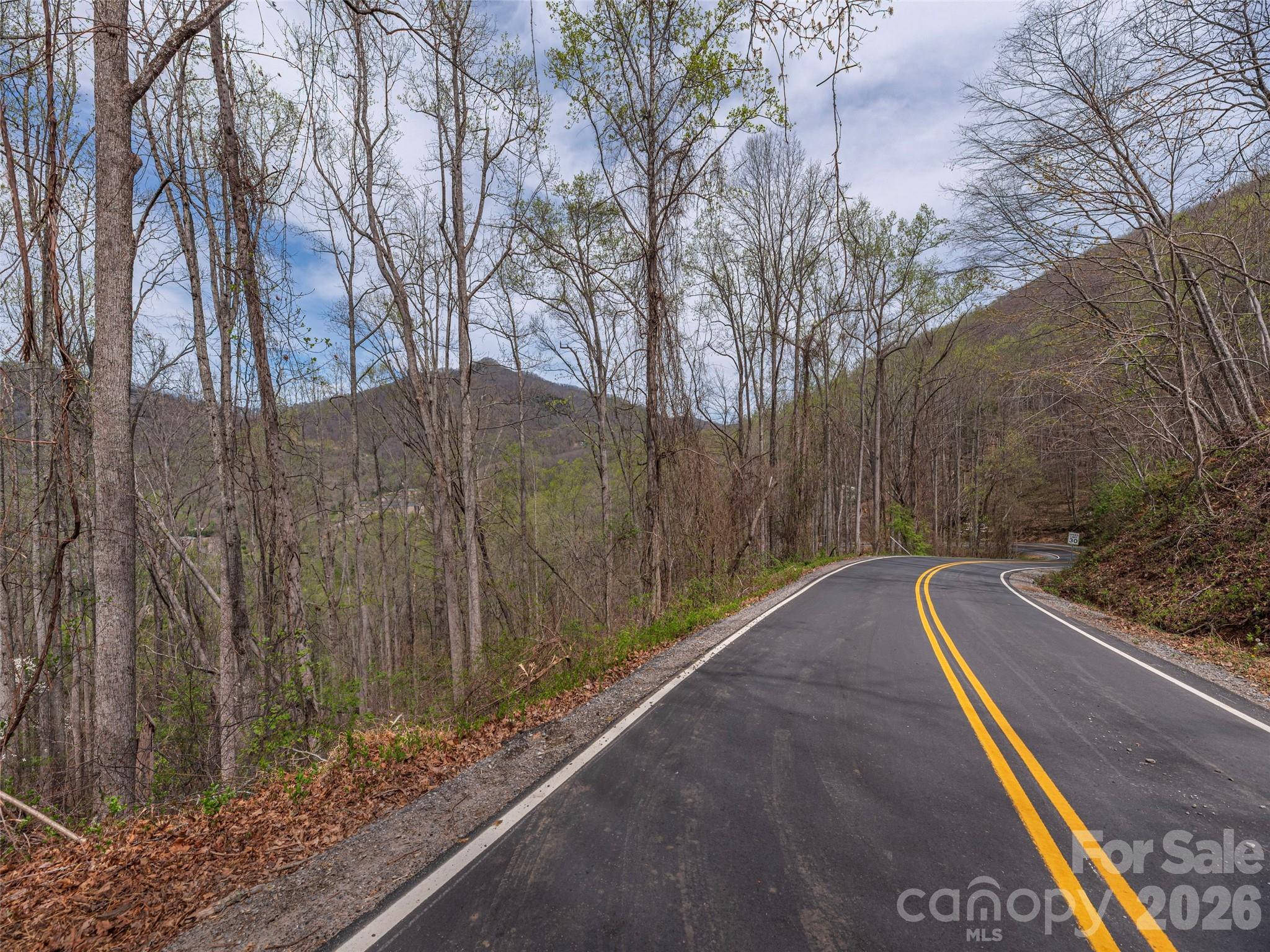 111 & 125 Cedar Mountain Road Asheville NC 28803