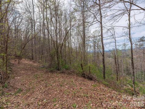 111 & 125 Cedar Mountain Road Asheville NC 28803