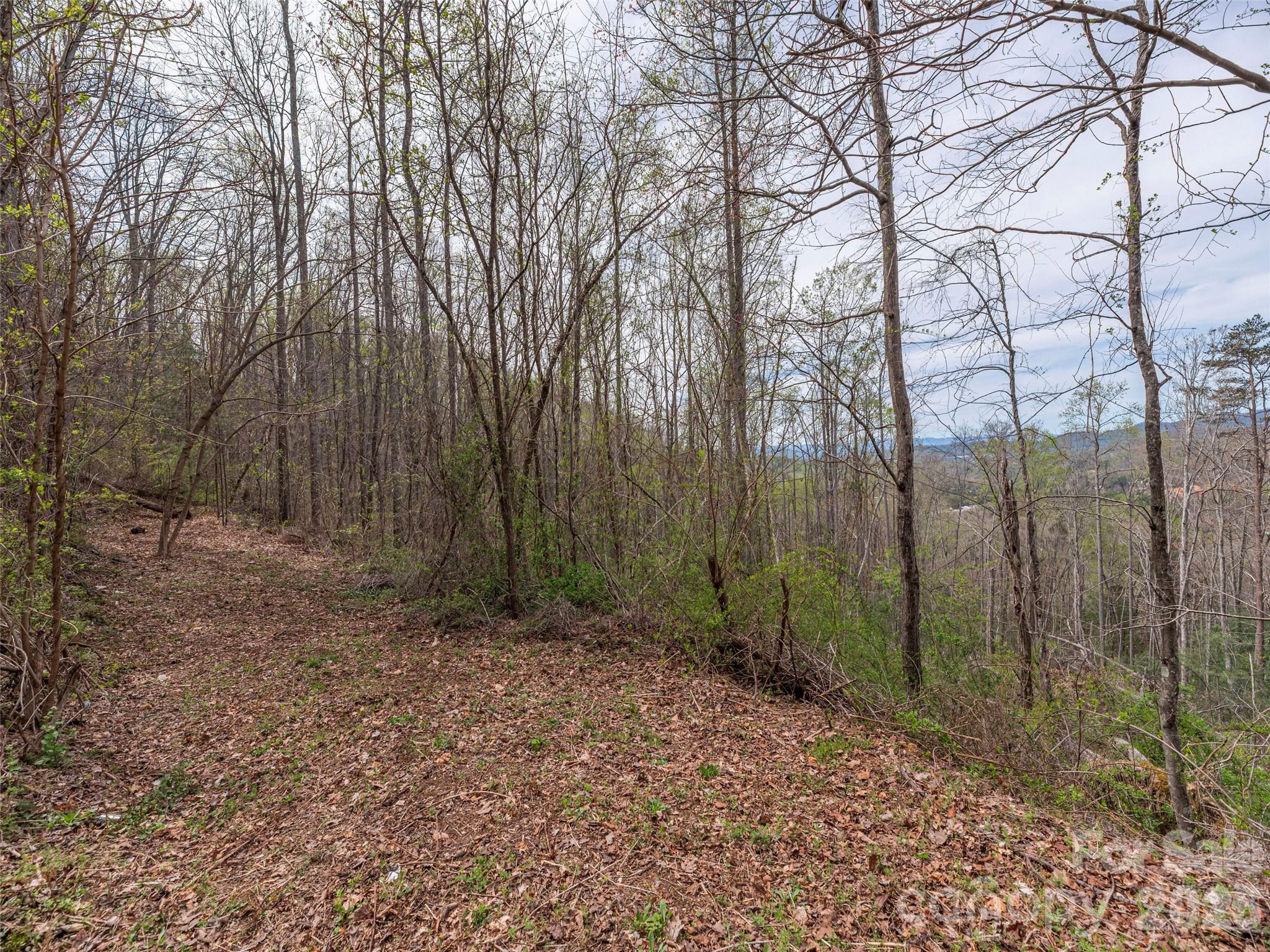 111 & 125 Cedar Mountain Road Asheville NC 28803