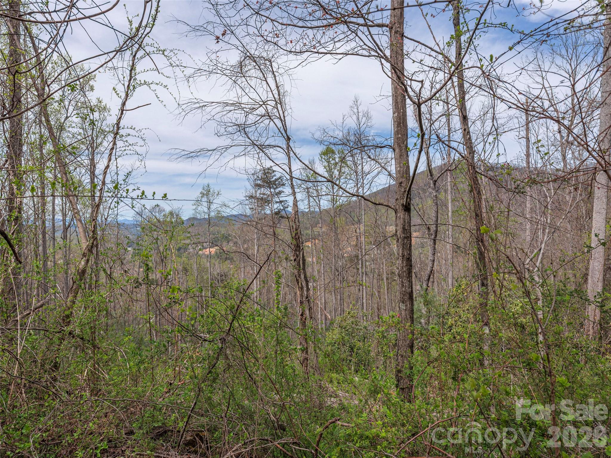 111 & 125 Cedar Mountain Road Asheville NC 28803