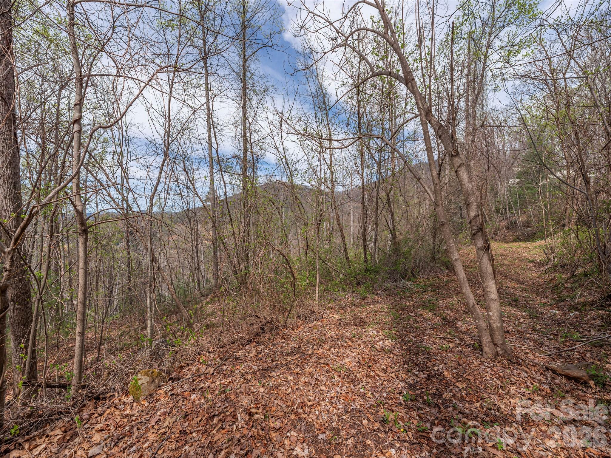 111 & 125 Cedar Mountain Road Asheville NC 28803