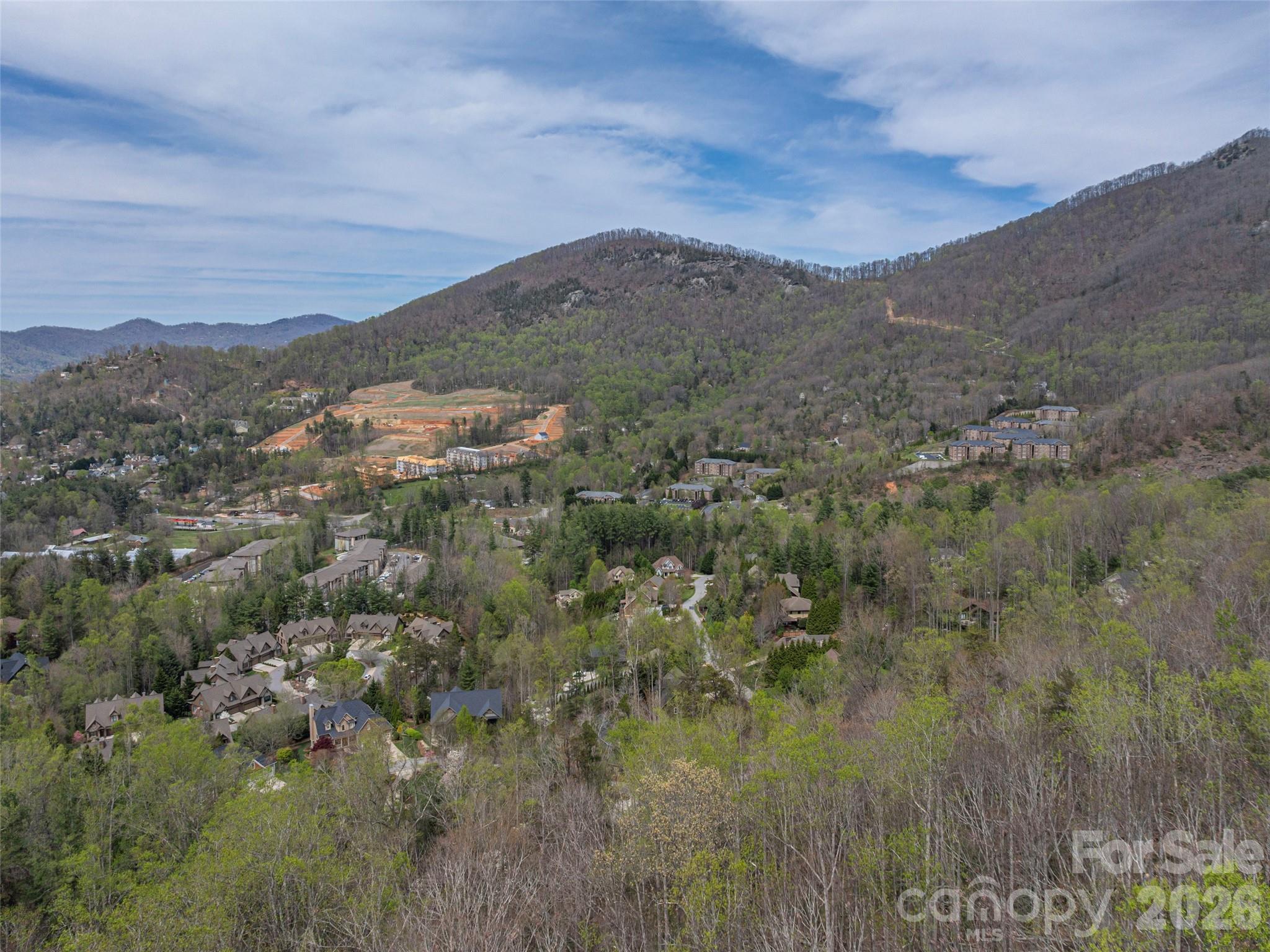 111 & 125 Cedar Mountain Road Asheville NC 28803