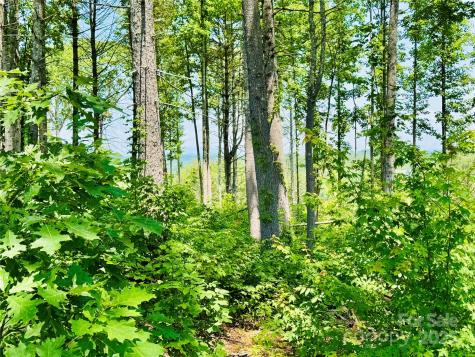 2.07 Acres, 2058 Thoroughbred Way Lenoir NC 28645