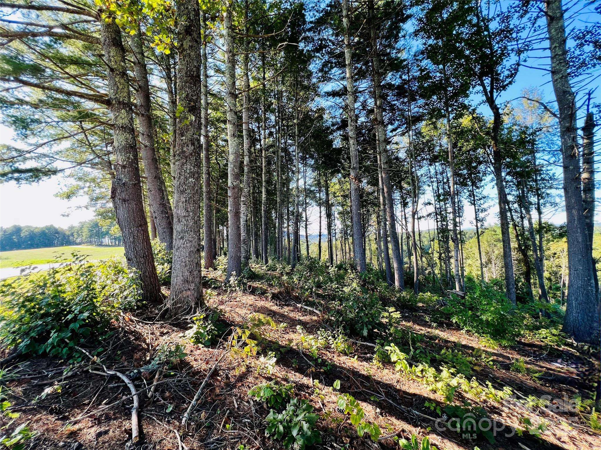 2.07 Acres, 2058 Thoroughbred Way Lenoir NC 28645