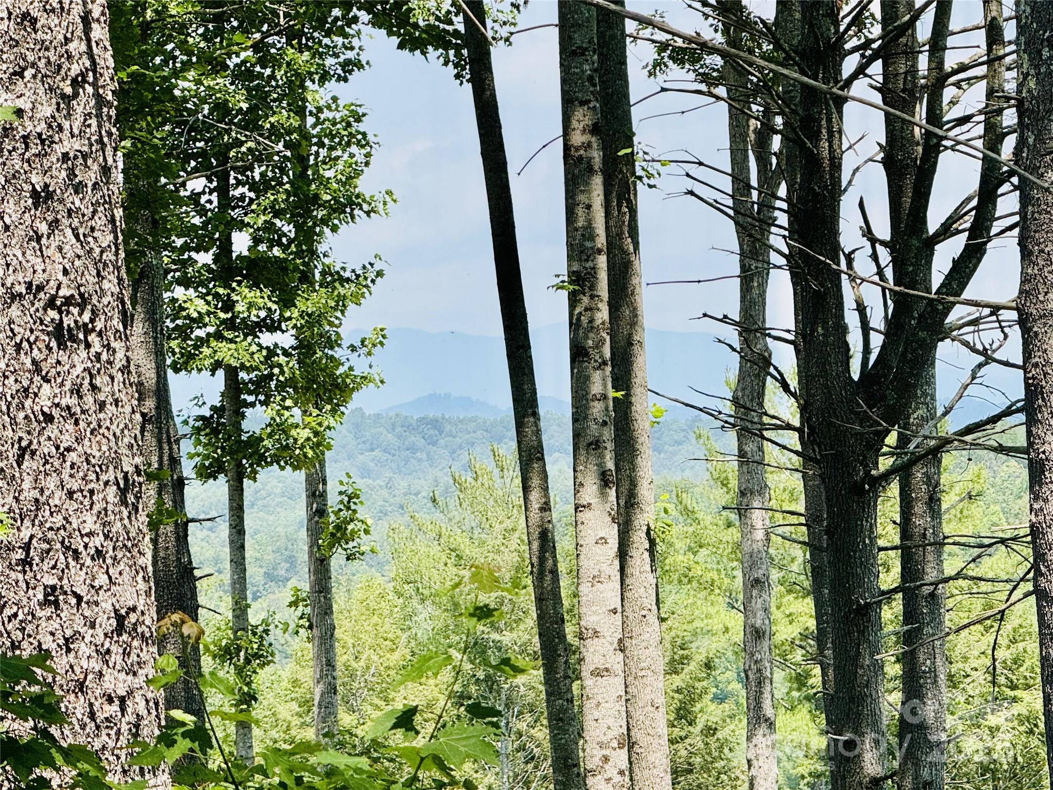 2.07 Acres, 2058 Thoroughbred Way Lenoir NC 28645