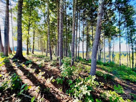 2.07 Acres, 2058 Thoroughbred Way Lenoir NC 28645