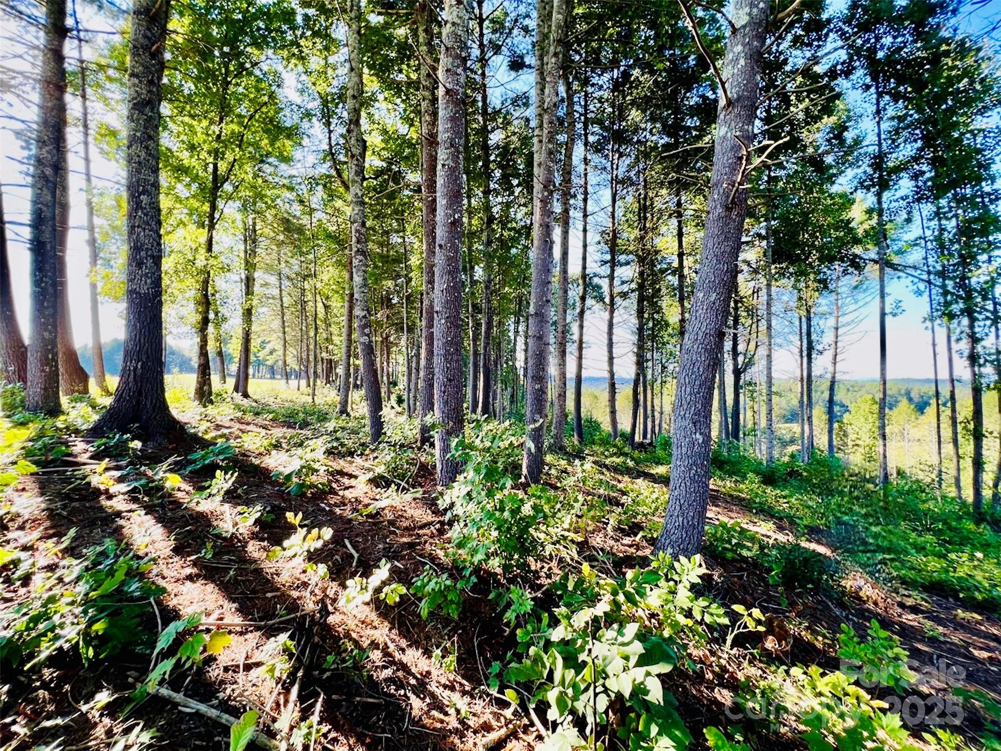 2.07 Acres, 2058 Thoroughbred Way Lenoir NC 28645
