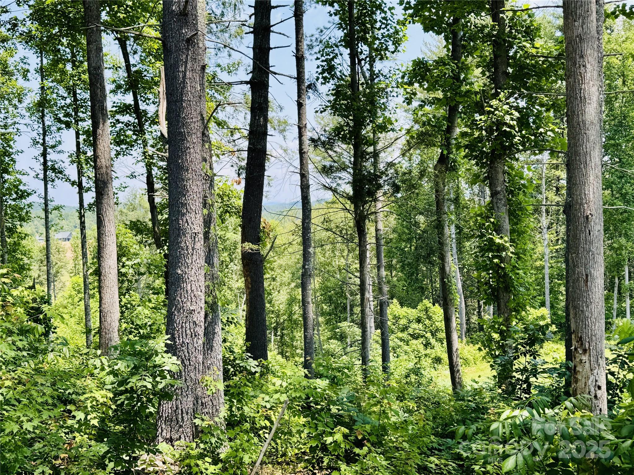 2.07 Acres, 2058 Thoroughbred Way Lenoir NC 28645