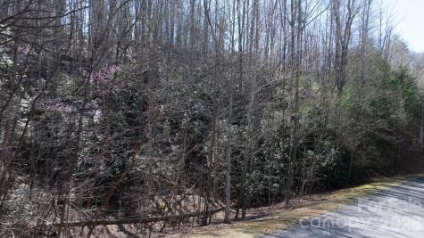 1342 High Trail Drive Nebo NC 28761