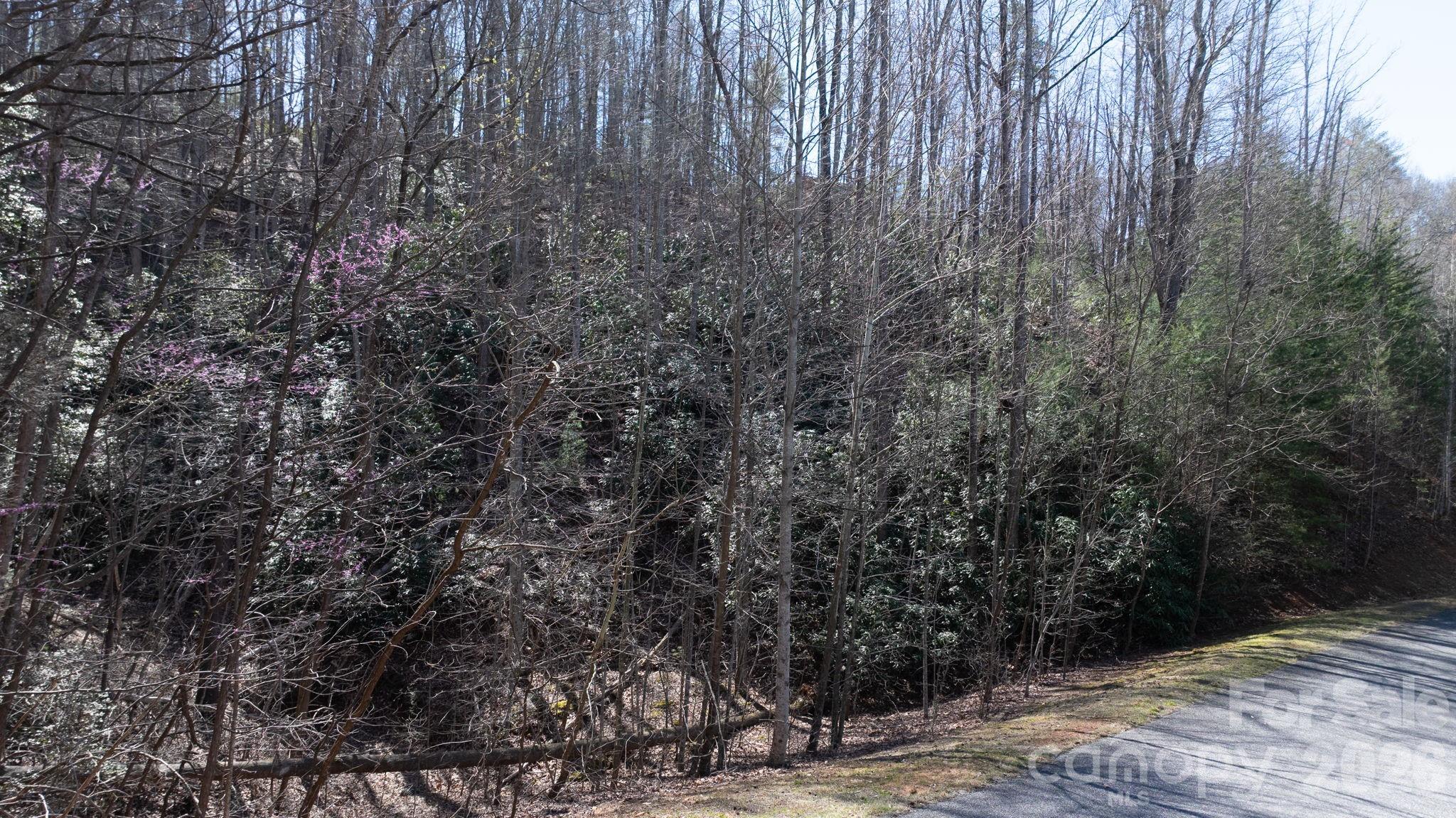1342 High Trail Drive Nebo NC 28761